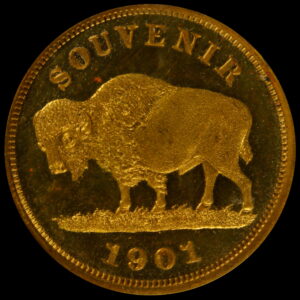 HK-291 1901 Pan-American Buffalo Souvenir SCD – Grassy Ground variety