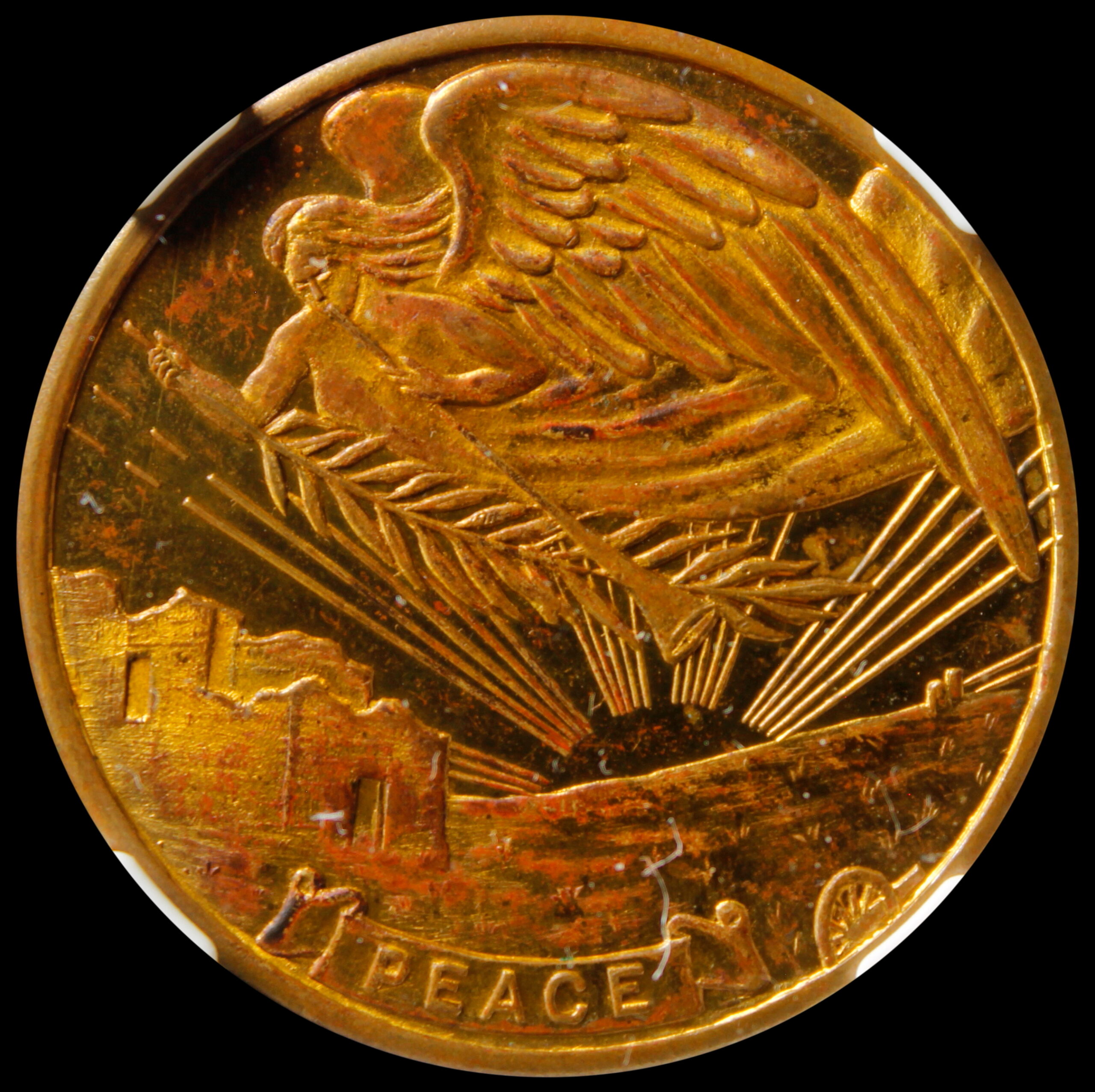 Ｗｏｒｌｄ　Ｐｅａｃｅ　Ｃｏｉｎ　平和祈願メダル•マイドルチェルナ 記念特別ゴールデンコイン 平和祈願メダル | Mydolceluna