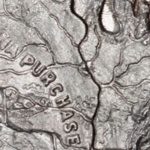 HK-299 1904 Louisiana Purchase Exposition Official SCD – Silver NO STAR