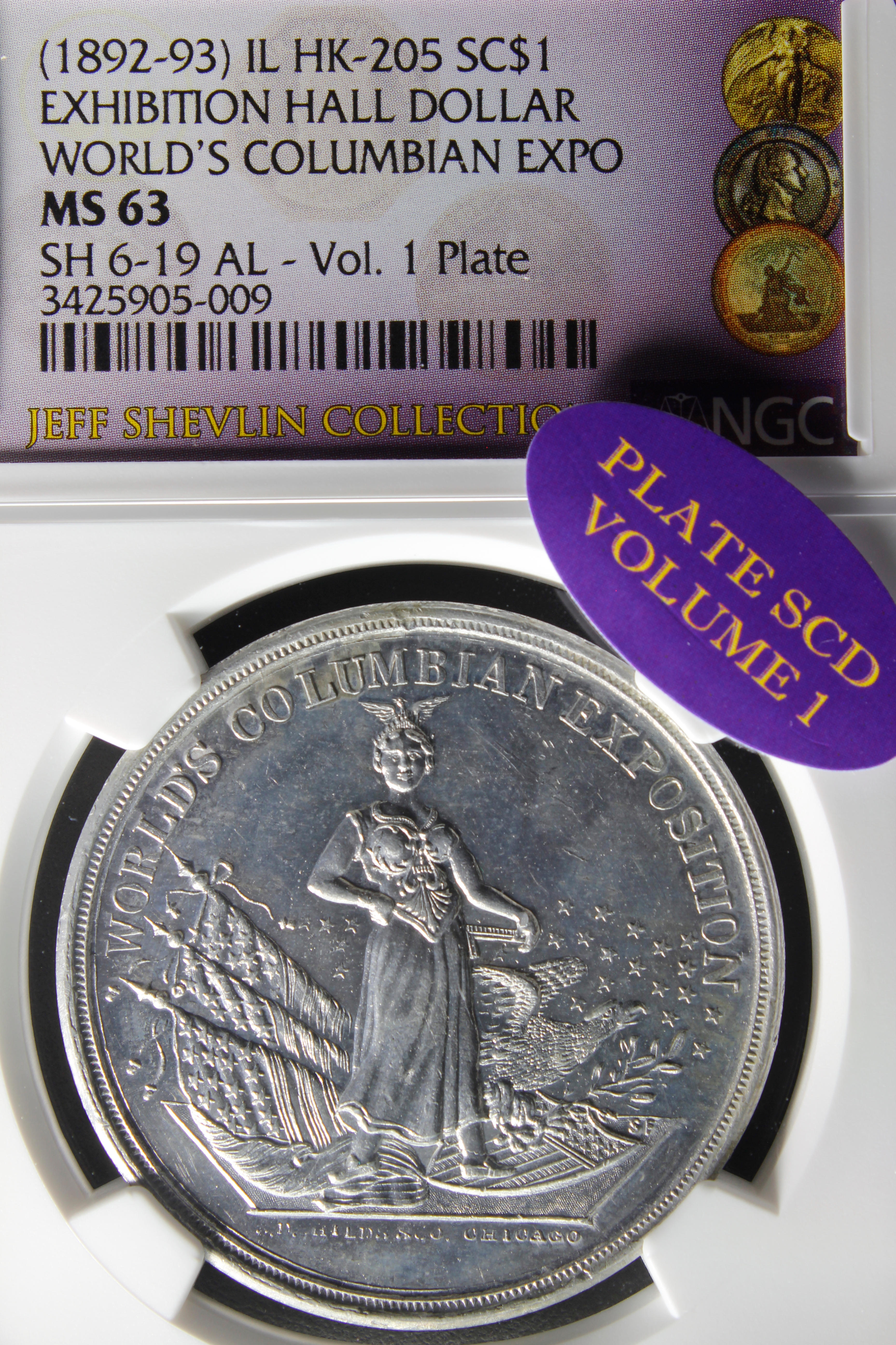 HK-205 1893 Columbian Childs Columbia Standing with Flags and Five Edifices with Rays SCD