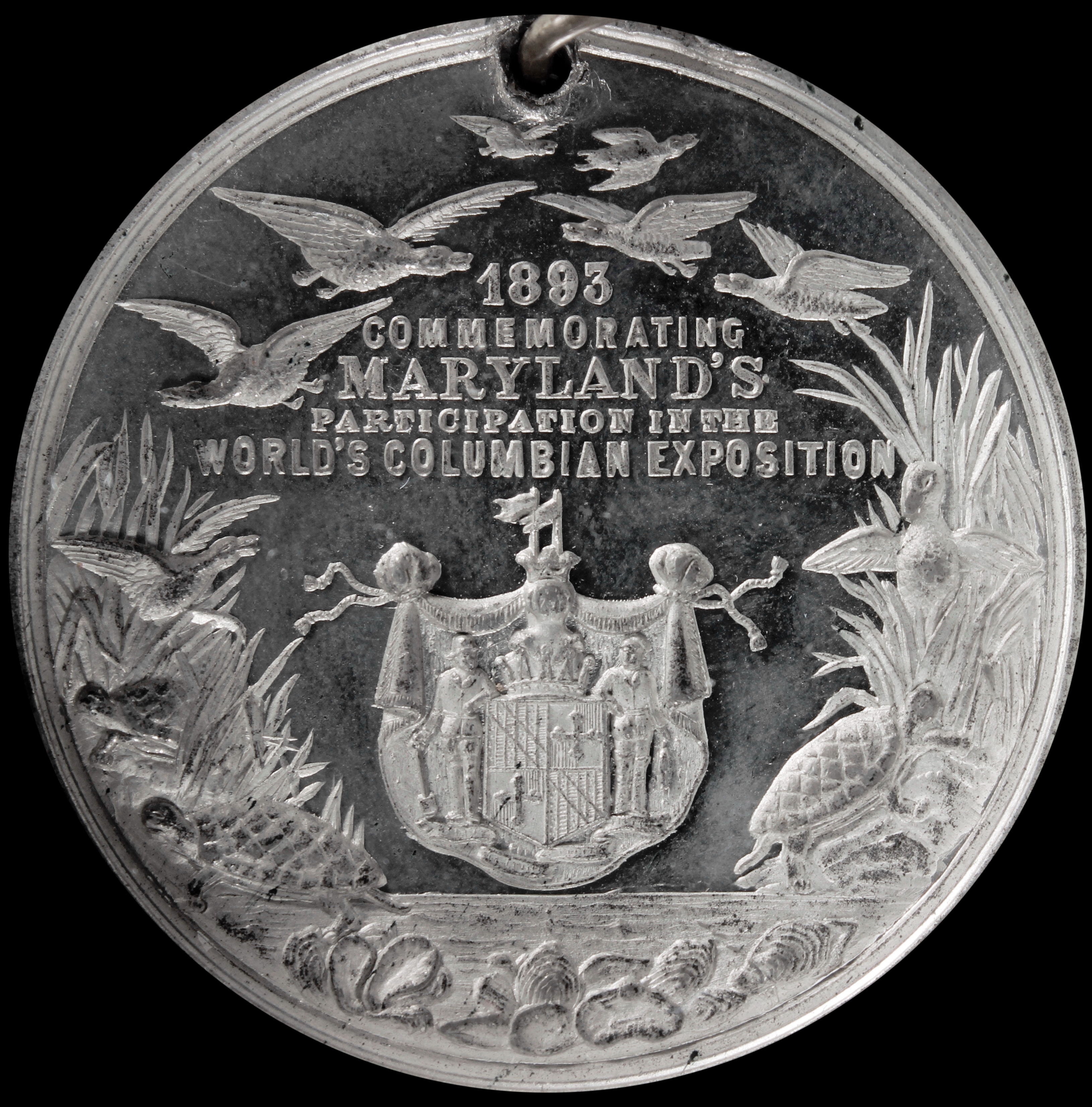 HK-213 1893 Columbian Maryland State SCD
